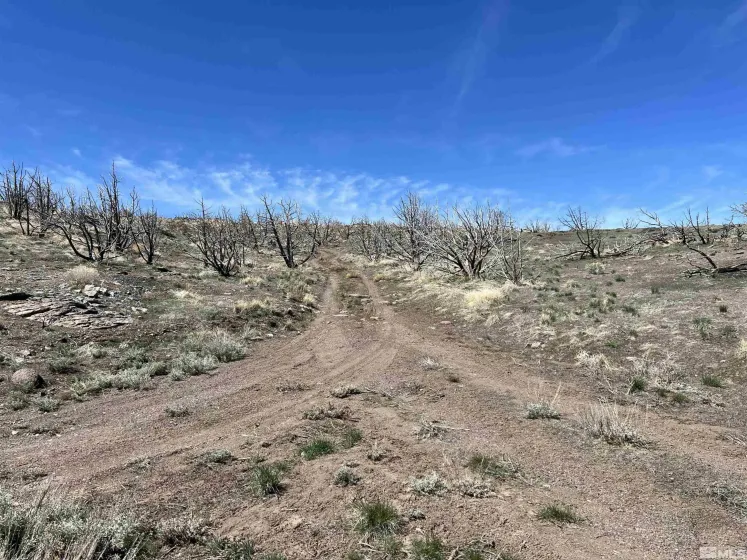 400 Vista, Reno, Nevada 89510, ,Land,Residential,Vista,0,240009530