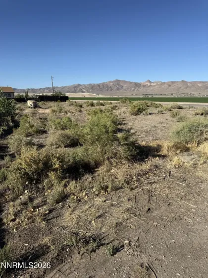 1 Smoke Tree, Yerington, Nevada 89447, ,Land,Residential,Smoke Tree,0,260009775