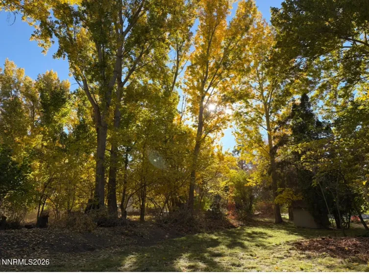 4755 Alcorn, Fallon, Nevada 89406, 4 Bedrooms Bedrooms, ,3 BathroomsBathrooms,Residential,Residential,Alcorn,0,260001533