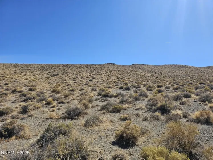 12.92ac Patented Mining Claim, Yerington, Nevada 89447, ,Land,Residential,Patented Mining Claim,0,250054423