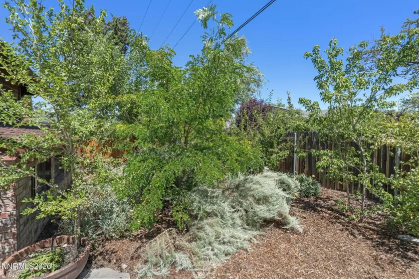 2160 Riviera, Reno, Nevada 89509, 3 Bedrooms Bedrooms, ,3 BathroomsBathrooms,Residential,Residential,Riviera,0,260009825