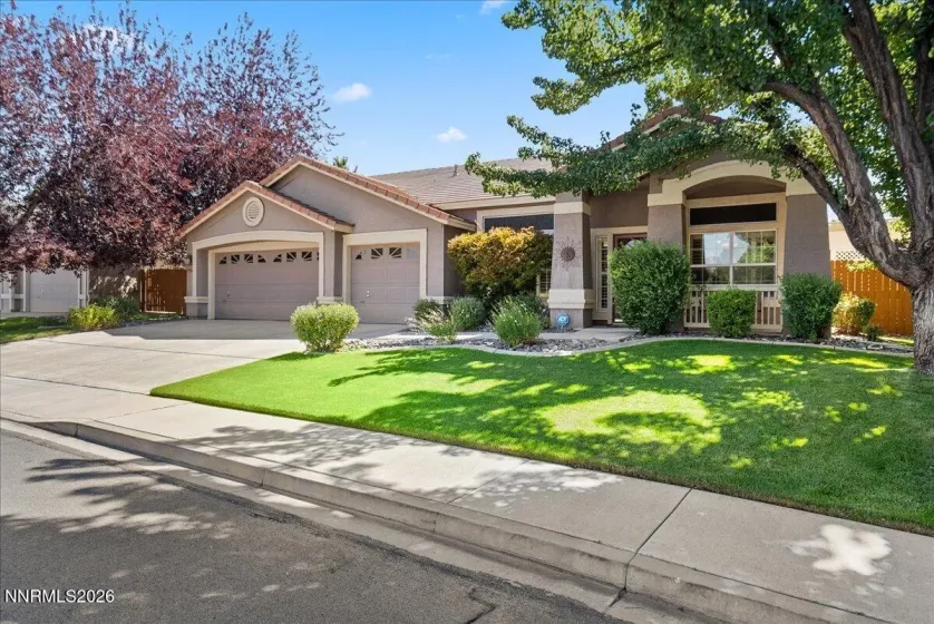 Gorgeous front yard