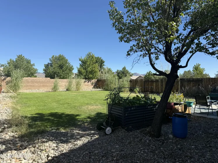 356 Royal Troon, Dayton, Nevada 89403, 3 Bedrooms Bedrooms, ,2 BathroomsBathrooms,Residential,Residential,Royal Troon,0,260009867