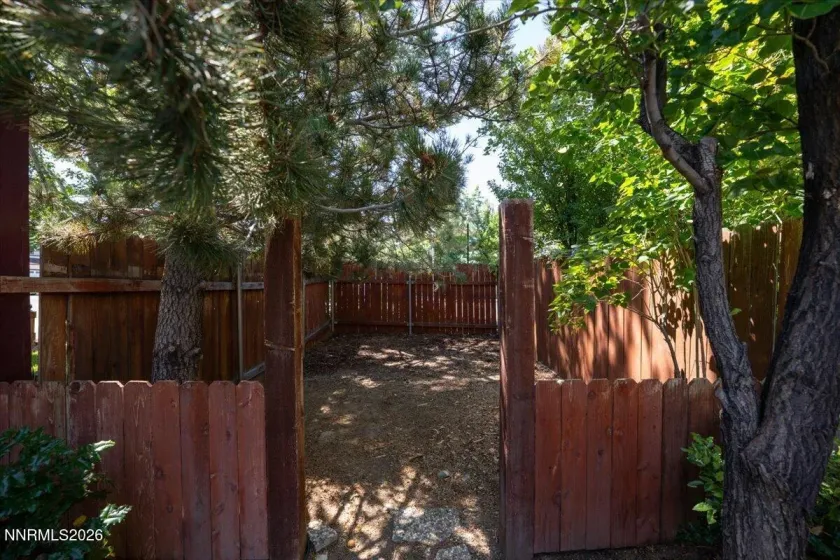 Dog run