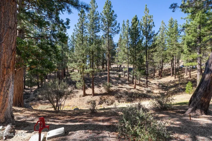 978 Dancing Bears, Portola, California 96122, 3 Bedrooms Bedrooms, ,3 BathroomsBathrooms,Residential,Residential,Dancing Bears,0,260009907