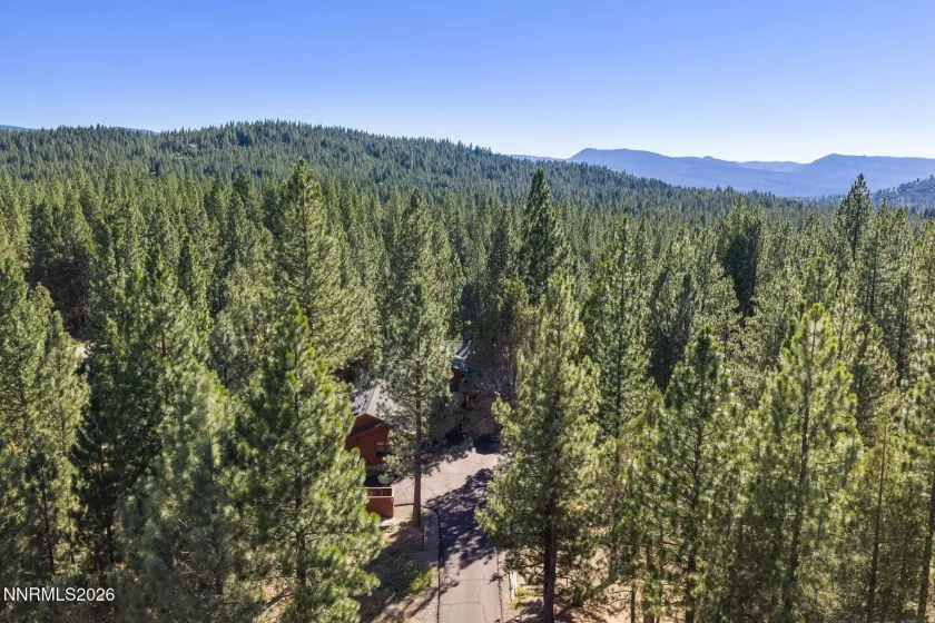 978 Dancing Bears, Portola, California 96122, 3 Bedrooms Bedrooms, ,3 BathroomsBathrooms,Residential,Residential,Dancing Bears,0,260009907