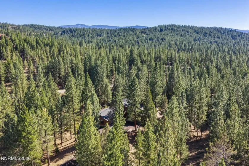 978 Dancing Bears, Portola, California 96122, 3 Bedrooms Bedrooms, ,3 BathroomsBathrooms,Residential,Residential,Dancing Bears,0,260009907