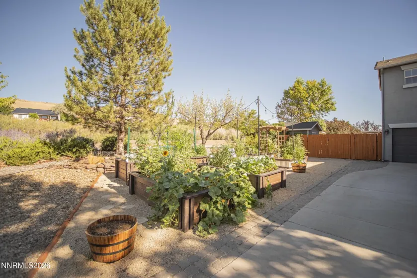 578 Carson Pass, Sparks, Nevada 89436, 3 Bedrooms Bedrooms, ,3 BathroomsBathrooms,Residential,Residential,Carson Pass,0,260009916
