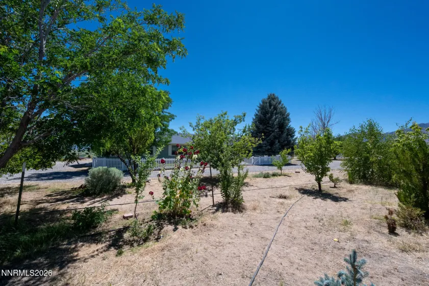 105 Artist View, Smith Valley, Nevada 89444, 3 Bedrooms Bedrooms, ,2 BathroomsBathrooms,Residential,Residential,Artist View,0,260009925