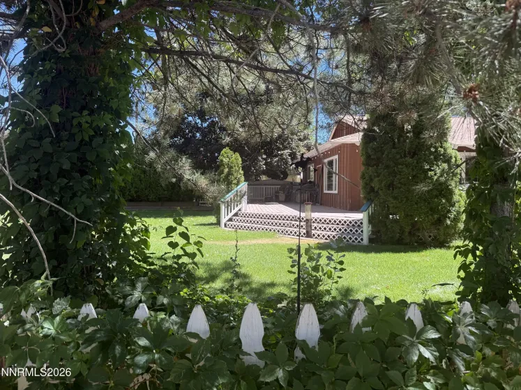 Backyard.