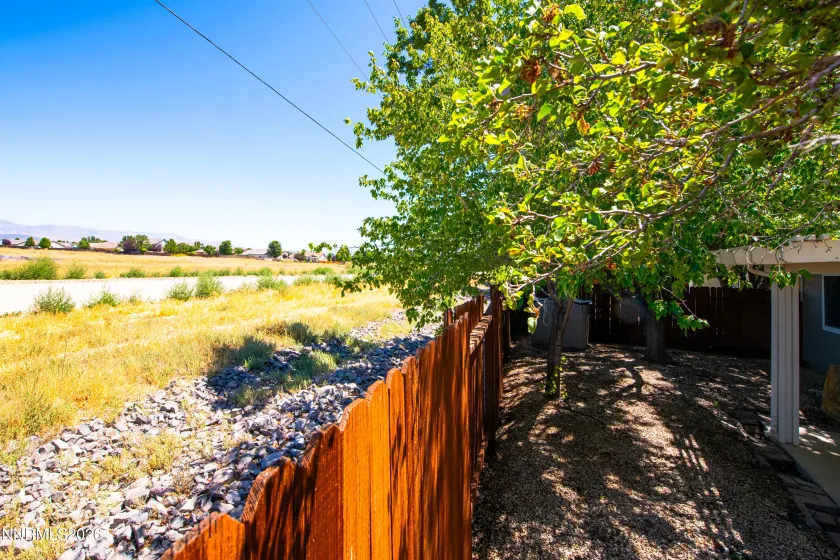 1789 Linden, Minden, Nevada 89423, 3 Bedrooms Bedrooms, ,2 BathroomsBathrooms,Residential,Residential,Linden,0,260009937