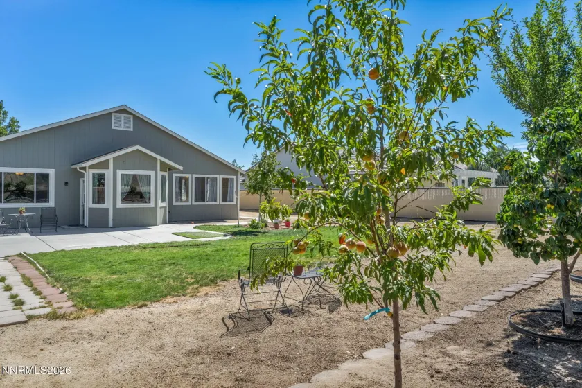 1110 Cheatgrass, Dayton, Nevada 89403, 3 Bedrooms Bedrooms, ,2 BathroomsBathrooms,Residential,Residential,Cheatgrass,0,260010018