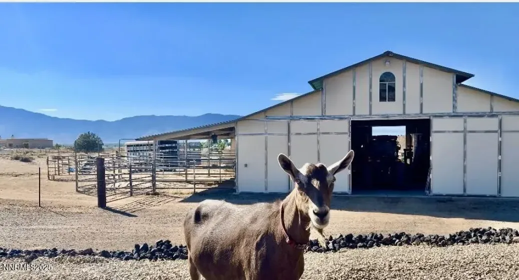 1281 Jo, Gardnerville, Nevada 89410, ,4 BathroomsBathrooms,Residential,Residential,Jo,0,260010021