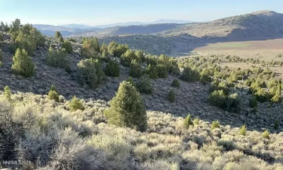 4340 Overland, Reno, Nevada 89521, ,Land,Residential,Overland,0,260010033