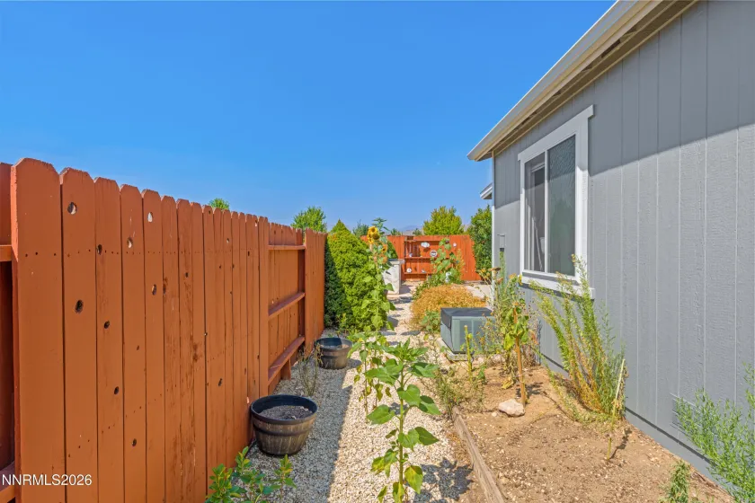 SIDE YARD