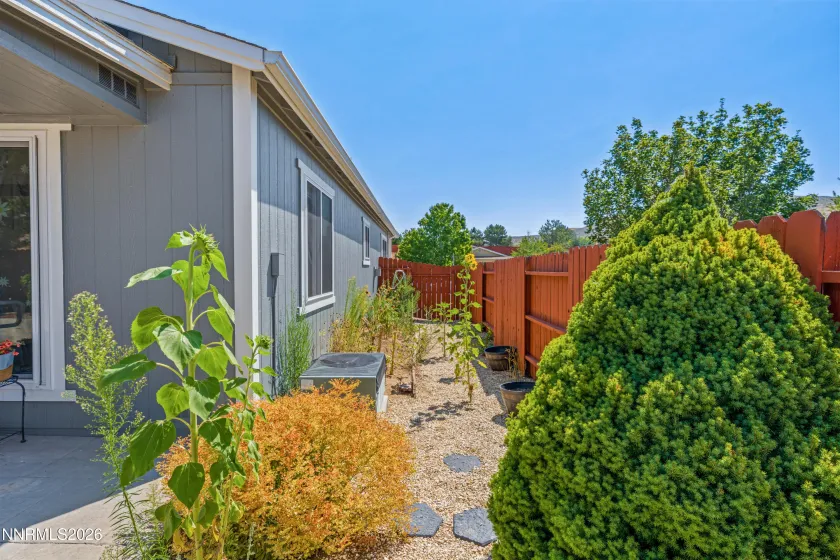 SIDE YARD