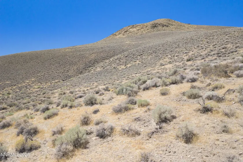 2919 Hwy 208, Wellington, Nevada 89444, ,Land,Residential,Hwy 208,0,260010101