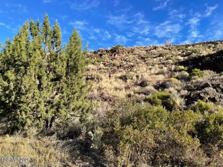 0 Quaking Aspen, Reno, Nevada 89510, ,Land,Residential,Quaking Aspen,0,250054374