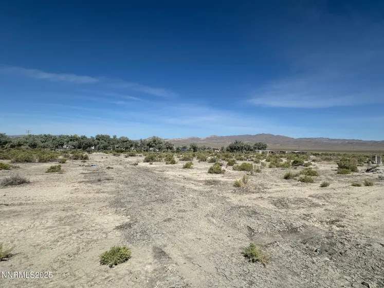 1100 Horseshoe Bend, Lovelock, Nevada 89419, 3 Bedrooms Bedrooms, ,2 BathroomsBathrooms,Residential,Residential,Horseshoe Bend,0,260010095