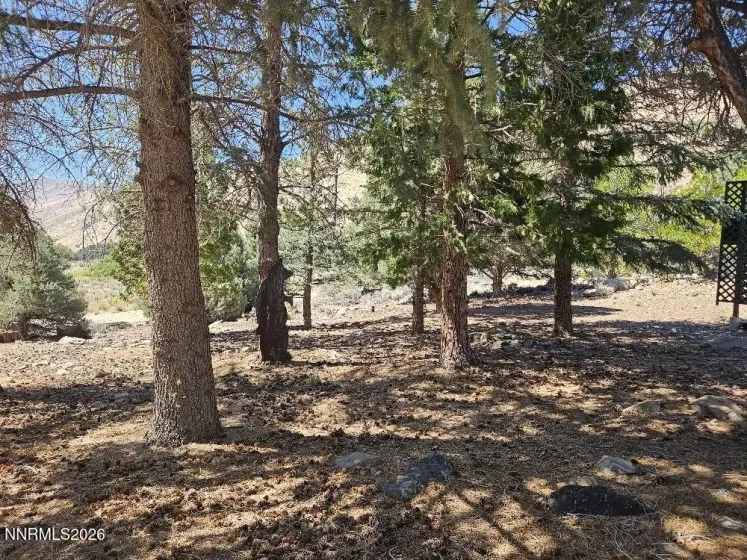 2026 Masonic, Gardnerville, Nevada 89410, 3 Bedrooms Bedrooms, ,2 BathroomsBathrooms,Residential,Residential,Masonic,0,260010116
