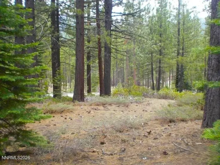 1389 Pioneer, South Lake Tahoe, California 96150, ,Land,Residential,Pioneer,0,260010147