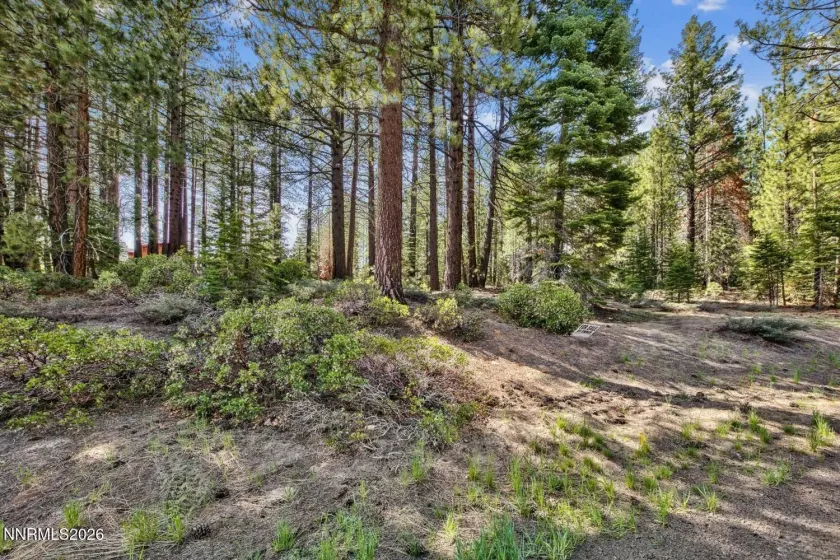 1389 Pioneer, South Lake Tahoe, California 96150, ,Land,Residential,Pioneer,0,260010147