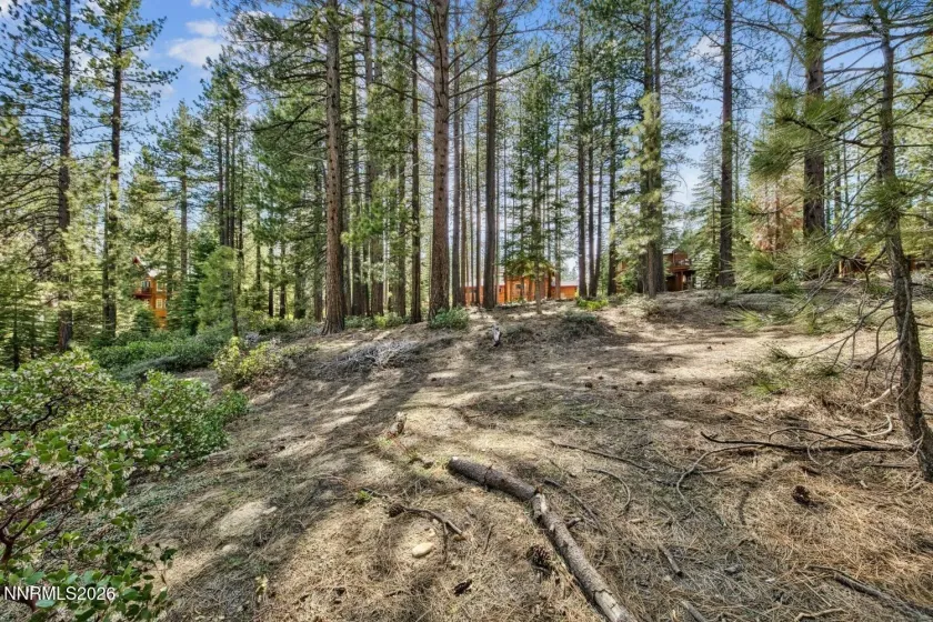 1389 Pioneer, South Lake Tahoe, California 96150, ,Land,Residential,Pioneer,0,260010147