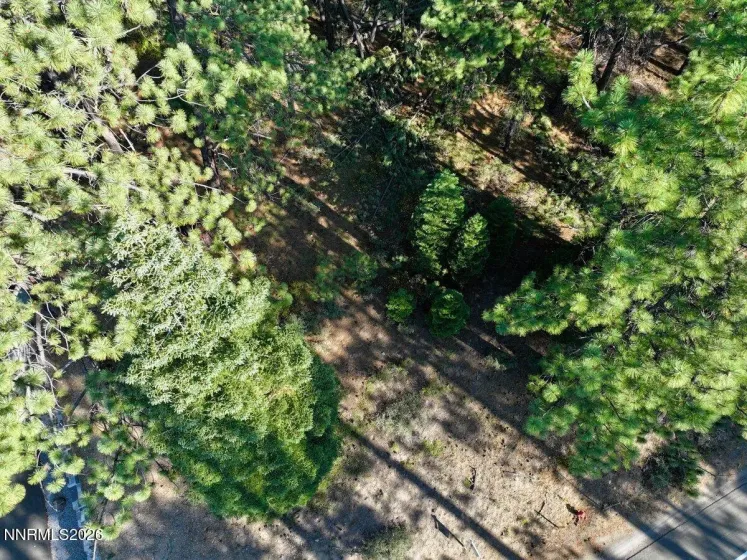 1389 Pioneer, South Lake Tahoe, California 96150, ,Land,Residential,Pioneer,0,260010147