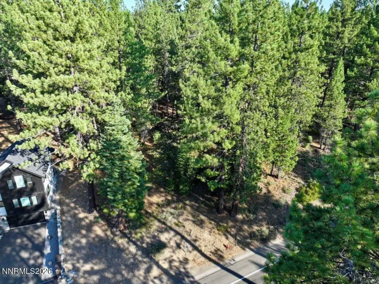 1389 Pioneer, South Lake Tahoe, California 96150, ,Land,Residential,Pioneer,0,260010147