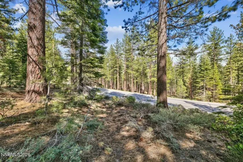 1389 Pioneer, South Lake Tahoe, California 96150, ,Land,Residential,Pioneer,0,260010147