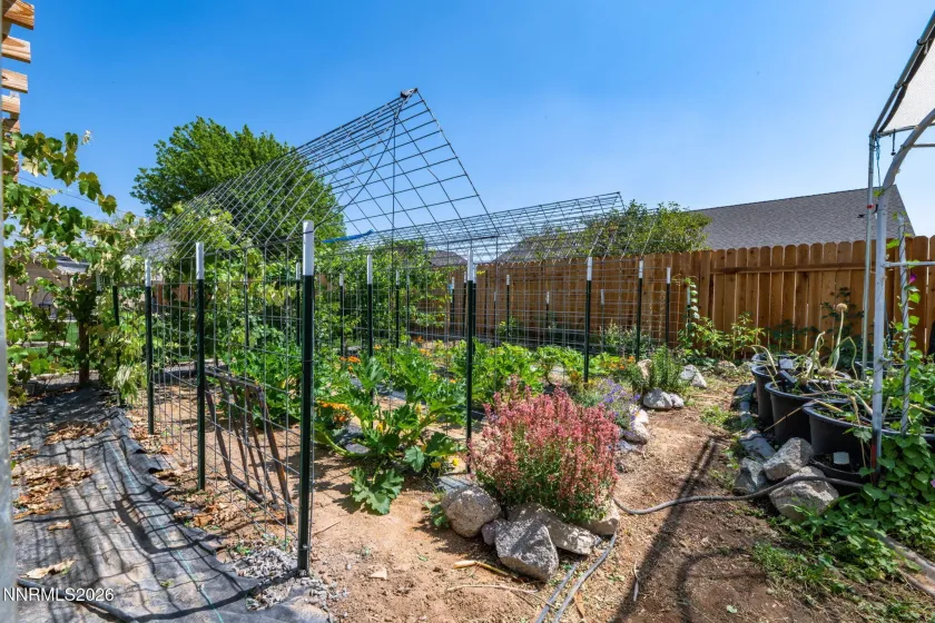 30 Blossom, Dayton, Nevada 89403, 4 Bedrooms Bedrooms, ,3 BathroomsBathrooms,Residential,Residential,Blossom,0,260010139