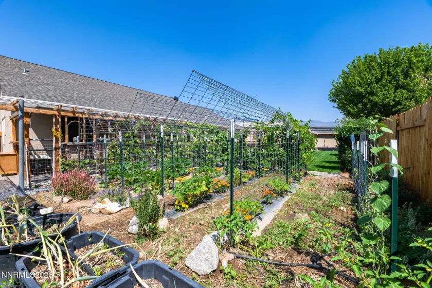 30 Blossom, Dayton, Nevada 89403, 4 Bedrooms Bedrooms, ,3 BathroomsBathrooms,Residential,Residential,Blossom,0,260010139
