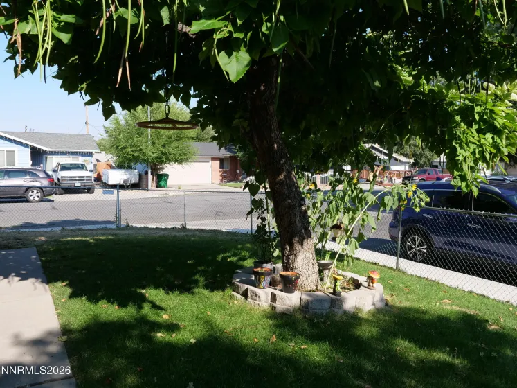 1380 Jerry, Carson City, Nevada 89701, 3 Bedrooms Bedrooms, ,2 BathroomsBathrooms,Residential,Residential,Jerry,0,260010218