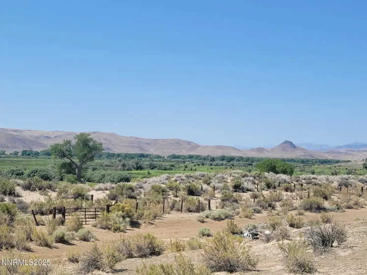 8935 Cougar, Silver Springs, Nevada 89429, ,Land,Residential,Cougar,0,260010237