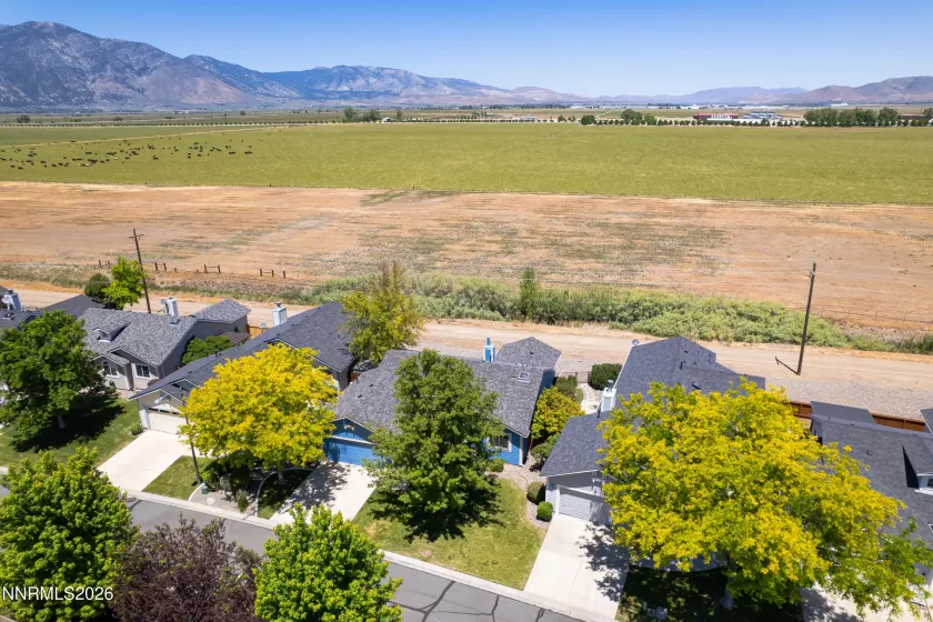 1163 White Oak, Minden, Nevada 89423, 3 Bedrooms Bedrooms, ,2 BathroomsBathrooms,Residential,Residential,White Oak,0,260010271