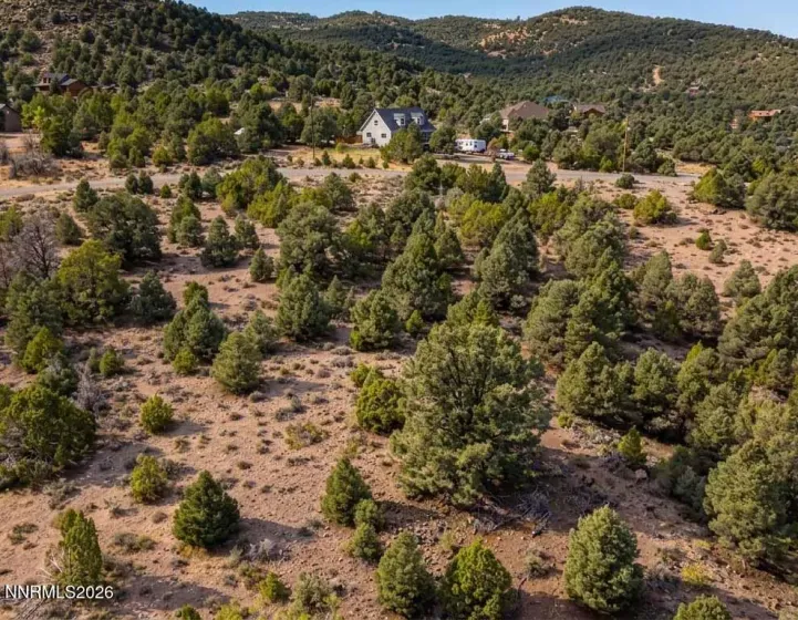 1761 Lousetown, Reno, Nevada 89521, ,Land,Residential,Lousetown,0,260010273