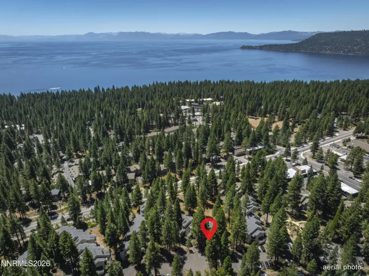 807 Alder, Incline Village, Nevada 89451, 2 Bedrooms Bedrooms, ,2 BathroomsBathrooms,Residential,Residential,Alder,0,260010281