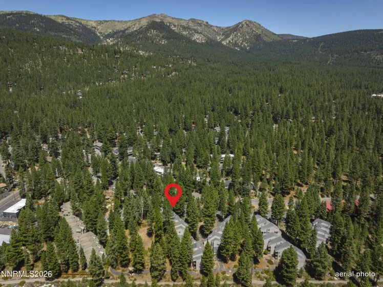 807 Alder, Incline Village, Nevada 89451, 2 Bedrooms Bedrooms, ,2 BathroomsBathrooms,Residential,Residential,Alder,0,260010281