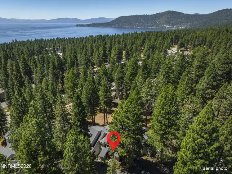 807 Alder, Incline Village, Nevada 89451, 2 Bedrooms Bedrooms, ,2 BathroomsBathrooms,Residential,Residential,Alder,0,260010281