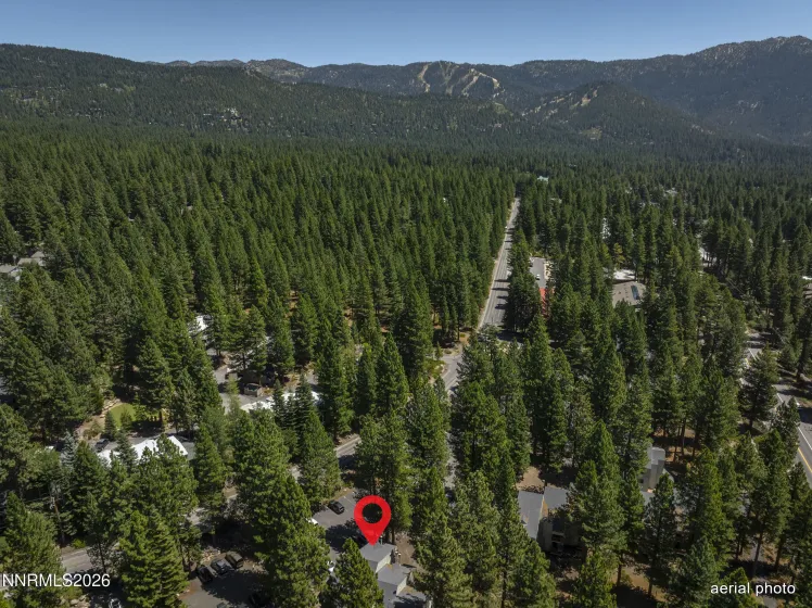 807 Alder, Incline Village, Nevada 89451, 2 Bedrooms Bedrooms, ,2 BathroomsBathrooms,Residential,Residential,Alder,0,260010281