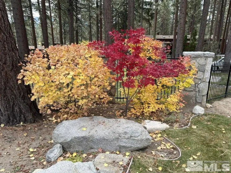 600 HWY 50, Zephyr Cove, Nevada 89448, 3 Bedrooms Bedrooms, ,3 BathroomsBathrooms,Residential Lease,Manufactured,HWY 50,0,260010308