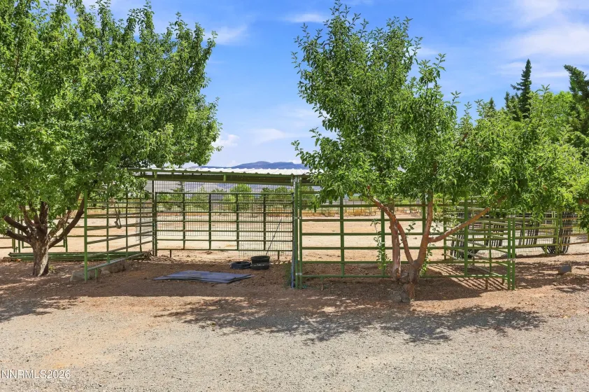 14430 Spezia, Reno, Nevada 89511, 4 Bedrooms Bedrooms, ,4 BathroomsBathrooms,Residential,Residential,Spezia,0,260010351