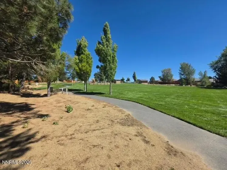 991 Sunnycrest, Carson City, Nevada 89705, 3 Bedrooms Bedrooms, ,2 BathroomsBathrooms,Residential,Residential,Sunnycrest,0,260010357