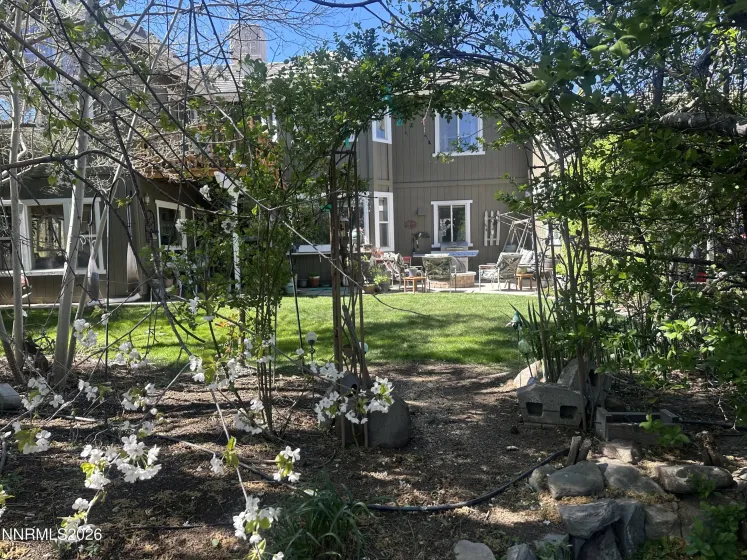 Beautiful Backyard