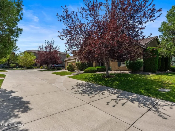 439 Sand Crane, Sparks, Nevada 89436, 3 Bedrooms Bedrooms, ,2 BathroomsBathrooms,Residential,Residential,Sand Crane,0,260010462