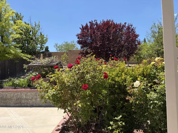 5930 Roxbury, Reno, Nevada 89523, 5 Bedrooms Bedrooms, ,4 BathroomsBathrooms,Residential,Residential,Roxbury,0,260010512