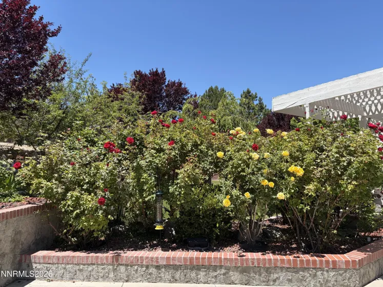 5930 Roxbury, Reno, Nevada 89523, 5 Bedrooms Bedrooms, ,4 BathroomsBathrooms,Residential,Residential,Roxbury,0,260010512