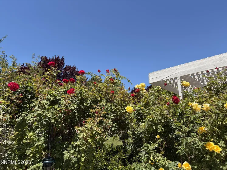 5930 Roxbury, Reno, Nevada 89523, 5 Bedrooms Bedrooms, ,4 BathroomsBathrooms,Residential,Residential,Roxbury,0,260010512