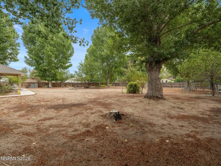3115 Casey, Fallon, Nevada 89406, 4 Bedrooms Bedrooms, ,2 BathroomsBathrooms,Residential,Residential,Casey,0,260010523