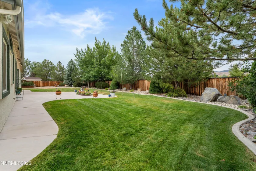Backyard View
